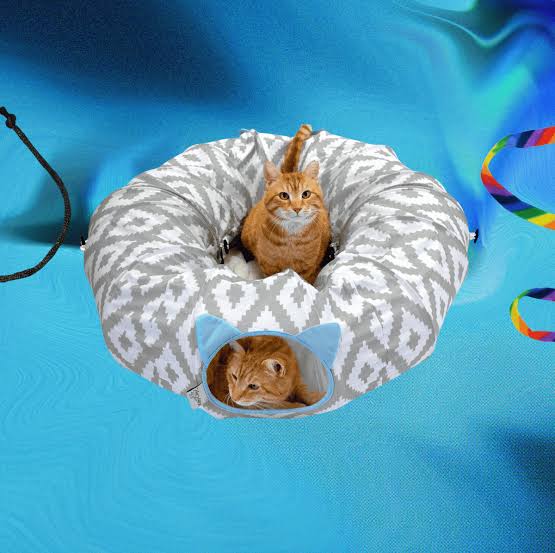 Cat Toys